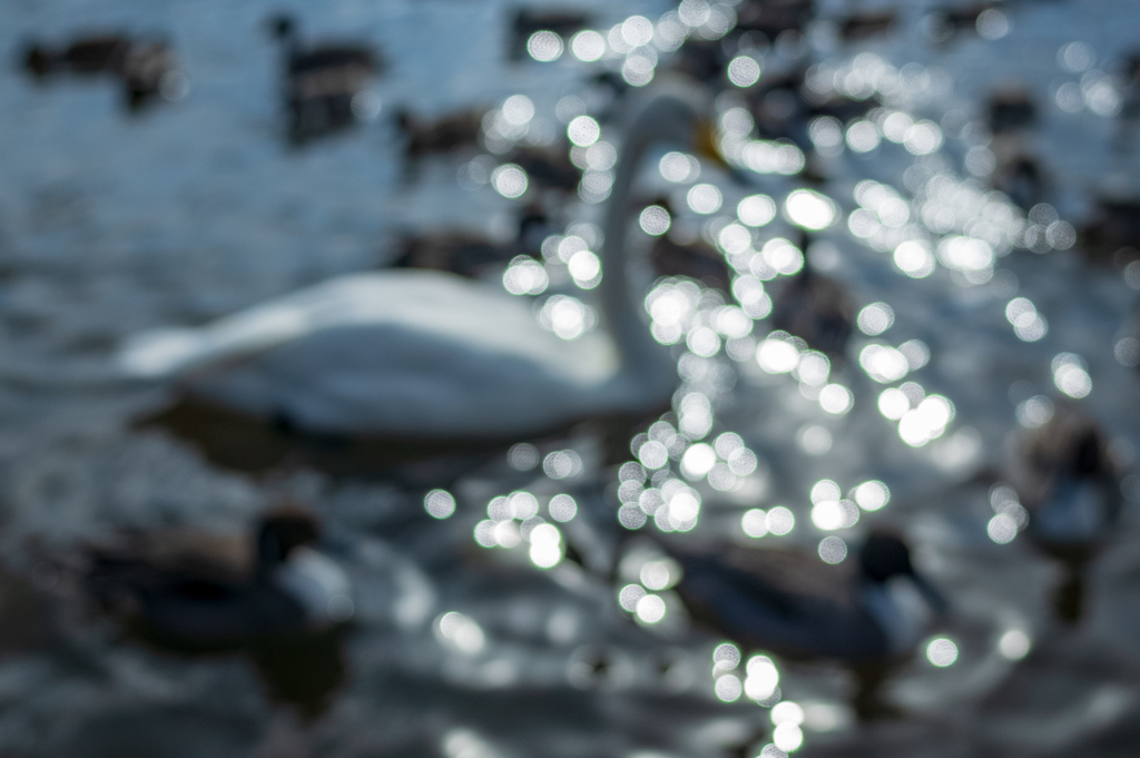 このタイミングで（笑）