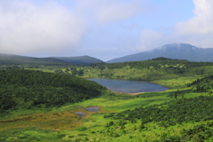 鎌沼