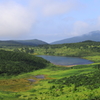 鎌沼