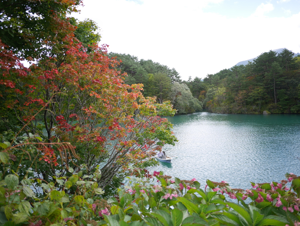 紅葉すこしずつ