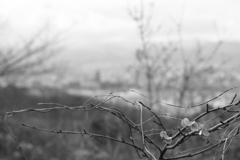 もう少し。。。