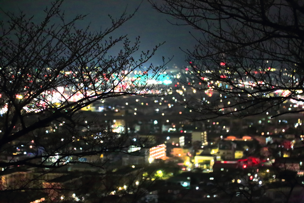桜のつぼみと夜景