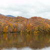 曲沢沼の紅葉