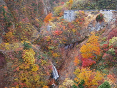 紅葉と滝（つばくろ谷）