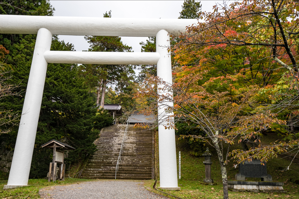 白い鳥居！