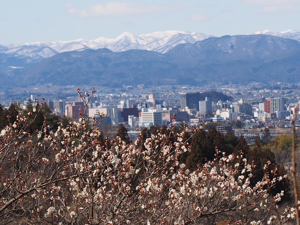桃源郷からの景色