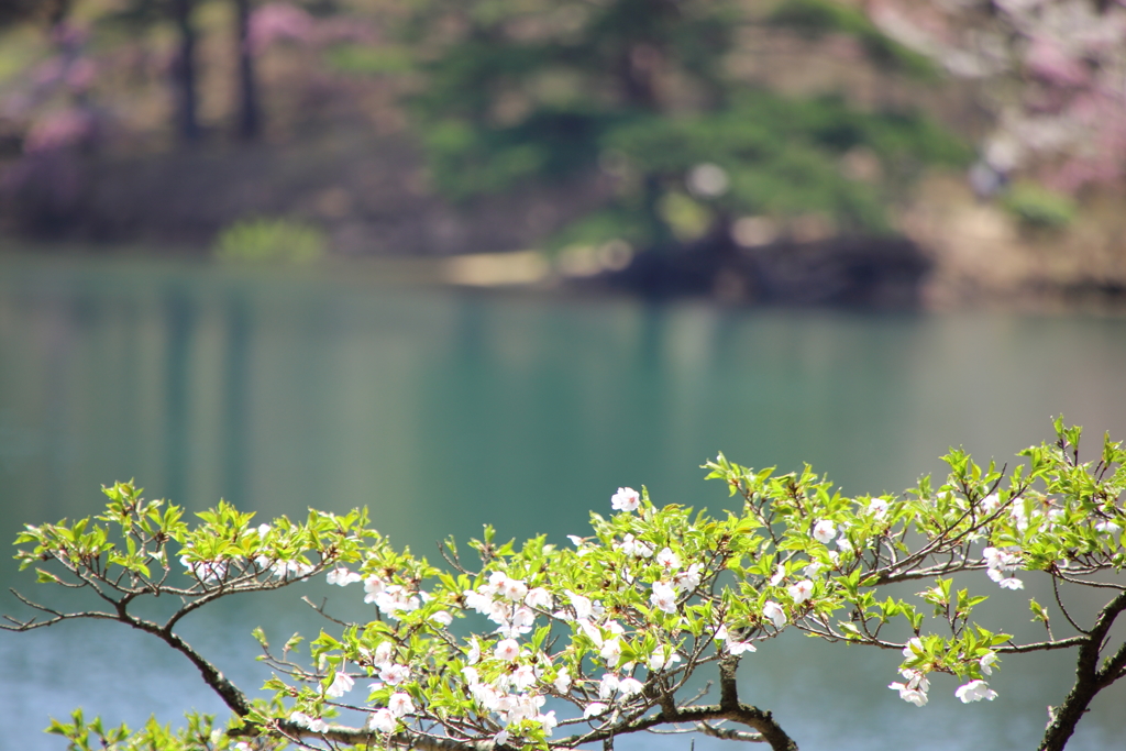 半田山公園#２