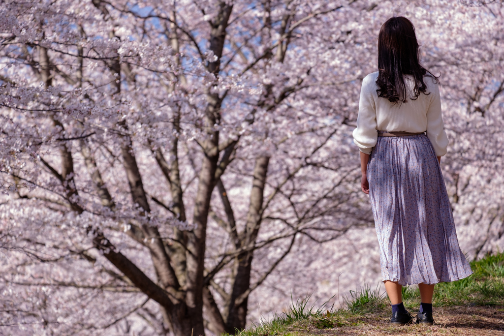 桜をバックに