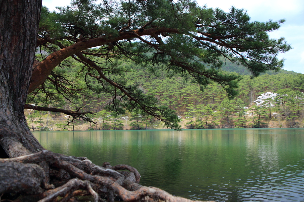 半田山公園#３