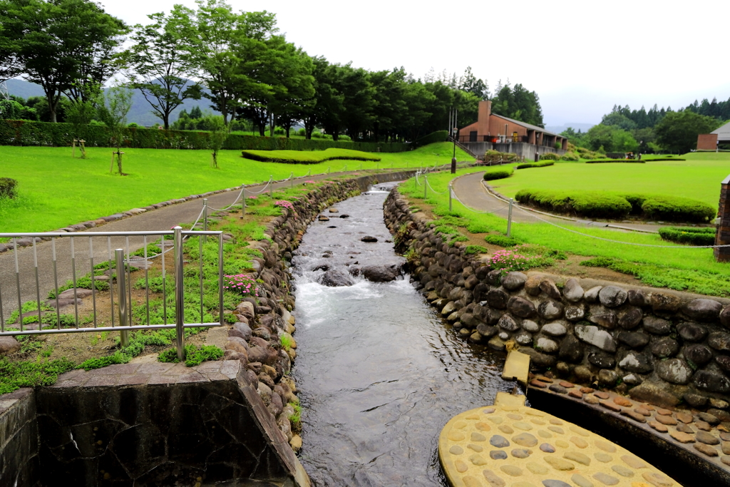 公園を試写