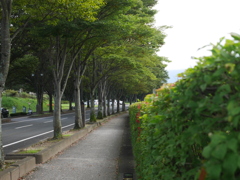 遊歩道散策