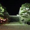 霞が城公園#２