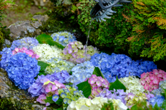 花手水