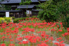 和の風景