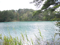 松と湖