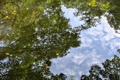 水鏡