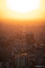 夕暮れ