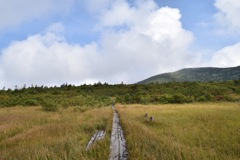 紅葉前の八甲田山