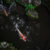 15007298-F7C5-4993-AC81-48592F666792