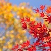 讃甘（さのも）神社