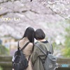 哲学の道にて