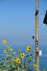夏の終わり