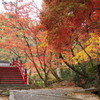 紅葉(今高野山)