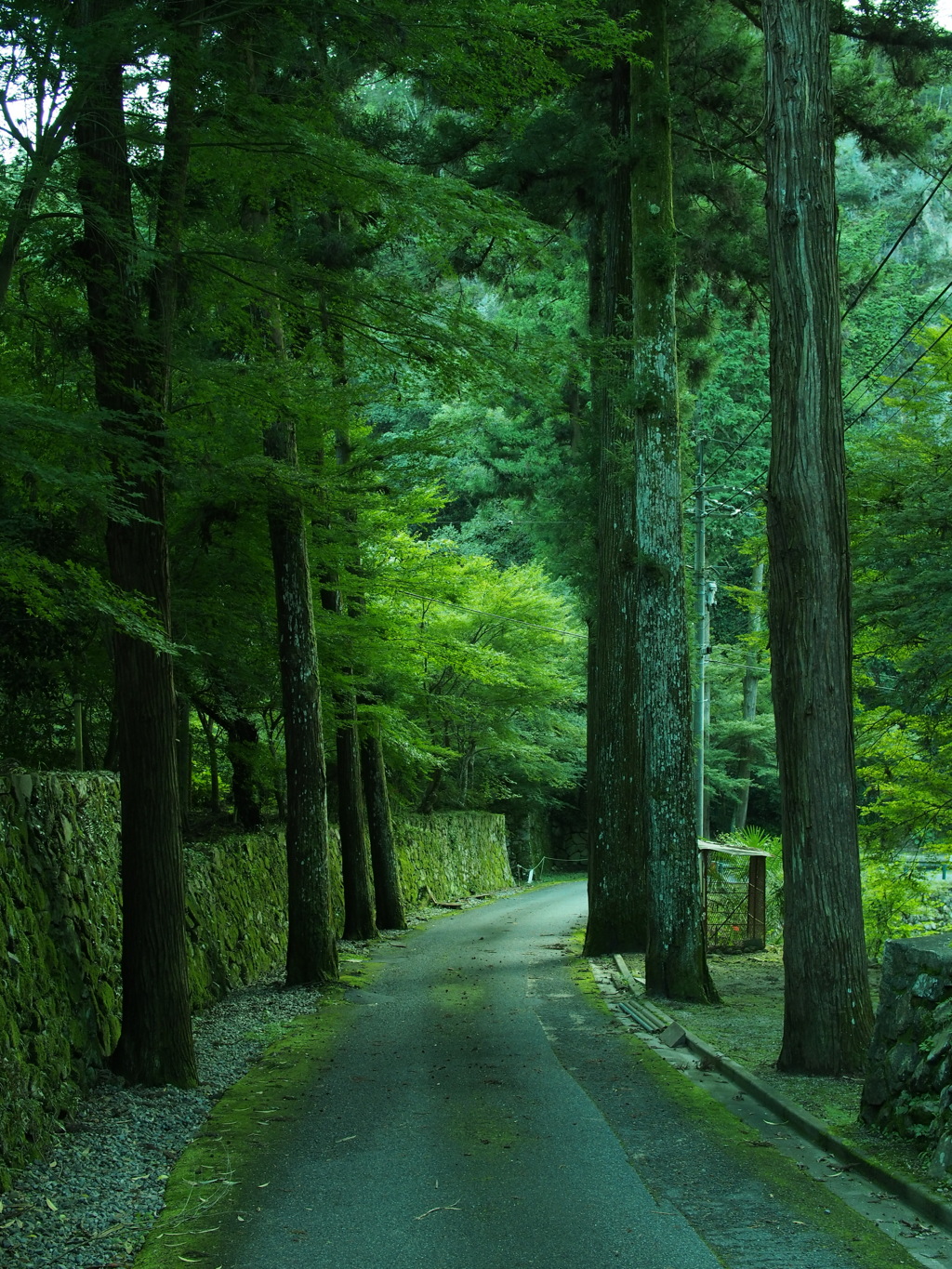 佛通寺 参道