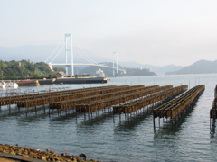 牡蠣棚と安芸灘大橋