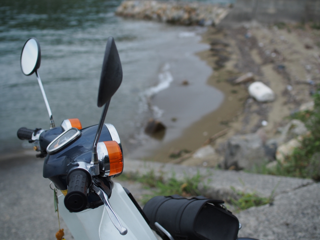 カブと海