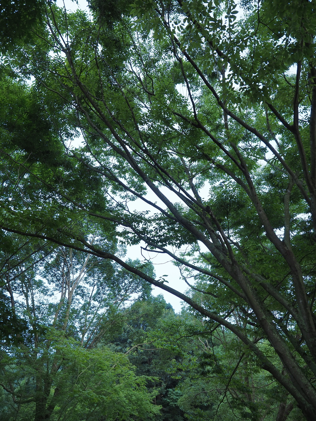 公園