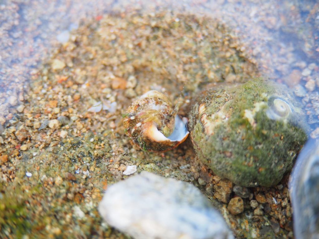 海での写真