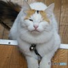 ウインク