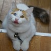 DSC05410