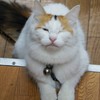DSC05424 (2)