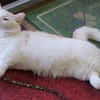 DSC05583あ～あ～