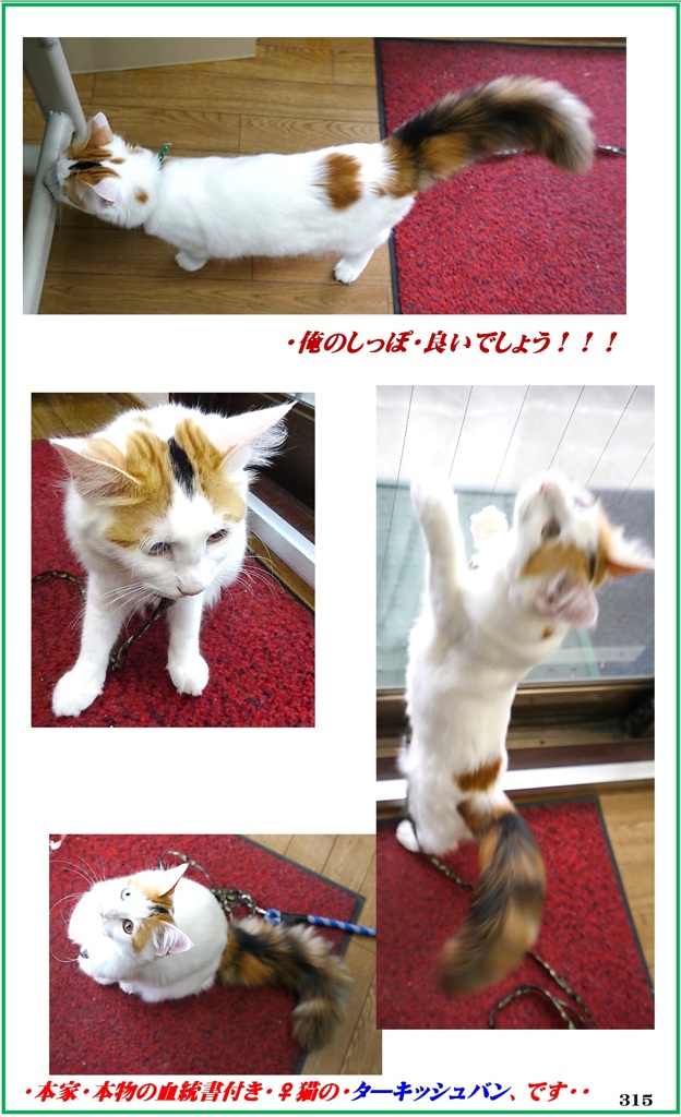 HP　ひたいのハチが目印に