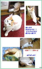 HP　タ―キッシュバン・ハチ（八）