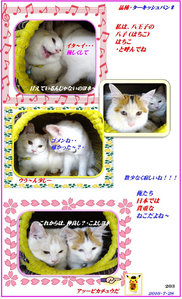 HP　2匹で生きて行こうな～