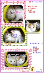 HP　2匹で生きて行こうな～