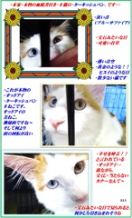 HP　はちの眼がいいですね～