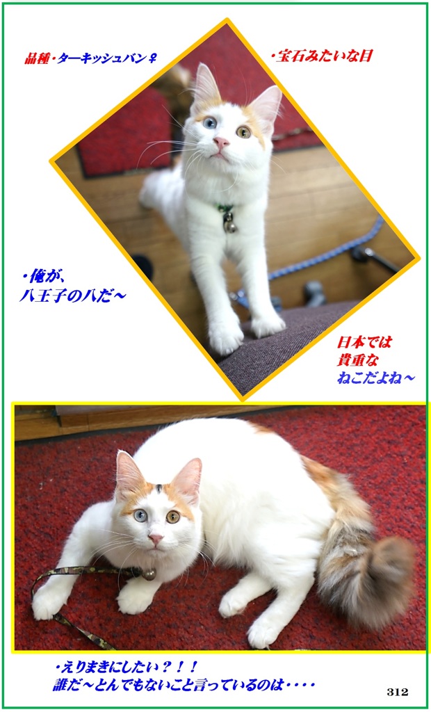 HP　はちも大きくなりましたがまだ・1年生