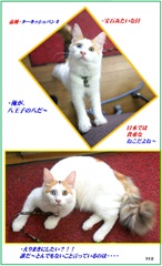 HP　はちも大きくなりましたがまだ・1年生