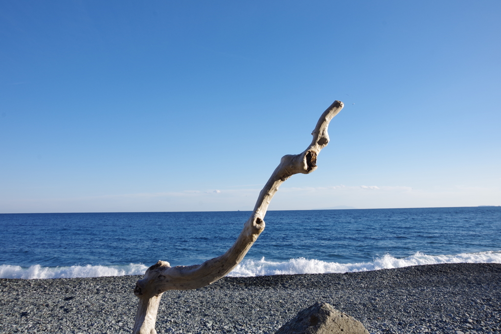 冬の海