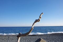 冬の海