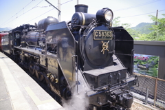 初夏のパレオエクスプレス③
