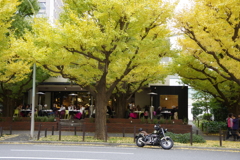 神宮外苑_2