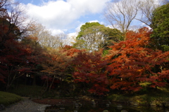 小石川後楽園_２