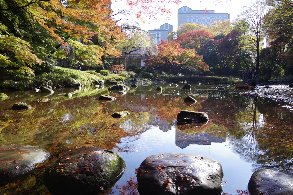 小石川後楽園2017