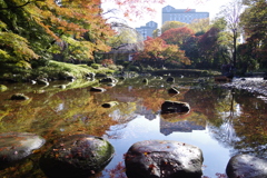 小石川後楽園2017